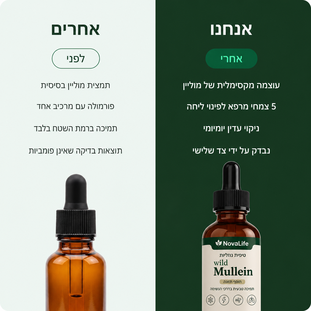 Mullein - מנקה ליחה תקועה ומחזיר נשימה קלה בתוך 7 ימים בלבד!