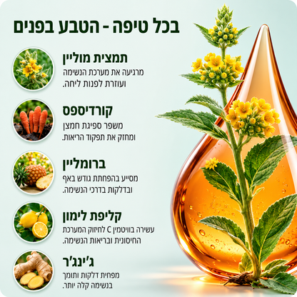 Mullein - מנקה ליחה תקועה ומחזיר נשימה קלה בתוך 7 ימים בלבד!